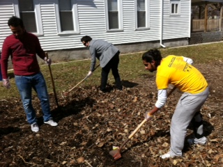 Tilling the Soil